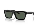 Ray-Ban Warren Solbriller RB 4396 667771