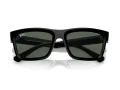 Ray-Ban Warren Solbriller RB 4396 667771