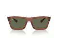 Ray-Ban Warren Solbriller RB 0RB4396 66789A