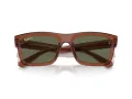 Ray-Ban Warren Solbriller RB 4396 66789A
