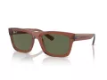 Ray-Ban Warren Solbriller RB 4396 66789A