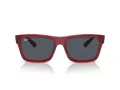 Ray-Ban Warren Solbriller RB 0RB4396 667987