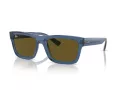 Ray-Ban Warren Solbriller RB 0RB4396 668073