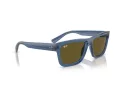 Ray-Ban Warren Solbriller RB 0RB4396 668073