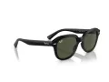 Ray-Ban Erik Solbriller RB 4398 901/31