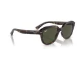 Ray-Ban Erik Solbriller RB 0RB4398 902/31
