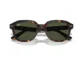 Ray-Ban Erik Solbriller RB 0RB4398 902/31