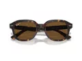 Ray-Ban Erik Solbriller RB 4398 902/57