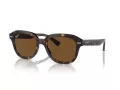 Ray-Ban Erik Solbriller RB 4398 902/57