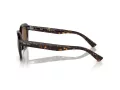 Ray-Ban Erik Solbriller RB 4398 902/57