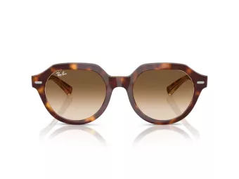 Ray-Ban Gina Solbriller RB 4399 141451