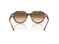 Ray-Ban Gina Solbriller RB 4399 141451