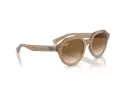 Ray-Ban Gina Solbriller RB 0RB4399 616651