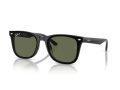 Ray-Ban Solbriller RB 4420 601/9A