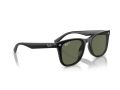 Ray-Ban Solbriller RB 4420 601/9A