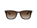 Ray-Ban Solbriller RB 4420 710/13