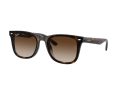 Ray-Ban Solbriller RB 4420 710/13