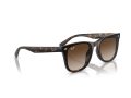 Ray-Ban Solbriller RB 4420 710/13