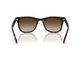 Ray-Ban Solbriller RB 4420 710/13