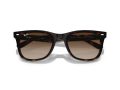 Ray-Ban Solbriller RB 4420 710/13
