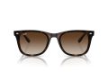 Ray-Ban Solbriller RB 4420 710/13