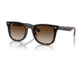 Ray-Ban Solbriller RB 4420 710/13