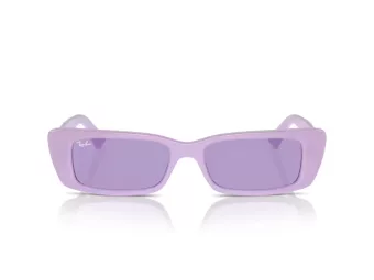 Ray-Ban Teru Solbriller RB 4425 67581A