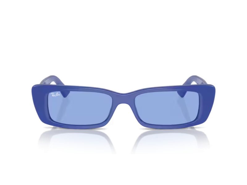 Ray-Ban Teru Solbriller RB 4425 676180