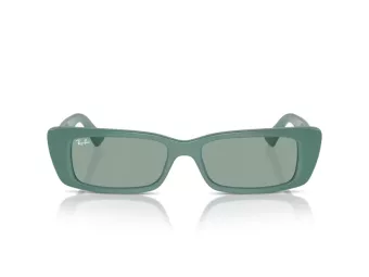 Ray-Ban Teru Solbriller RB 4425 676282