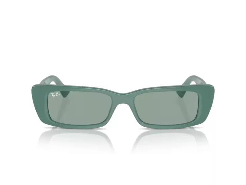 Ray-Ban Teru Solbriller RB 4425 676282