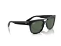 Ray-Ban Phil Solbriller RB 4426 667771