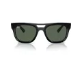 Ray-Ban Phil Solbriller RB 4426 667771