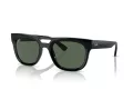 Ray-Ban Phil Solbriller RB 4426 667771