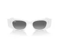 Ray-Ban Kat Solbriller RB 4427 675911