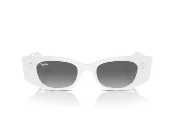 Ray-Ban Kat Solbriller RB 4427 675911