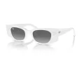 Ray-Ban Kat Solbriller RB 4427 675911