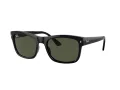 Ray-Ban Solbriller RB 0RB4428 601/31