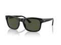 Ray-Ban Solbriller RB 0RB4428 601/31