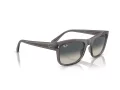 Ray-Ban Solbriller RB 0RB4428 667571