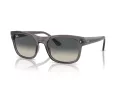 Ray-Ban Solbriller RB 0RB4428 667571