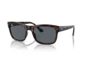 Ray-Ban Solbriller RB 0RB4428 710/R5