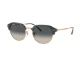 Ray-Ban Solbriller RB 0RB4429 672071