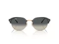 Ray-Ban Solbriller RB 0RB4429 672071