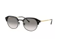 Ray-Ban Solbriller RB 0RB4429 672332