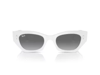 Ray-Ban Zena Solbriller RB 4430 675911