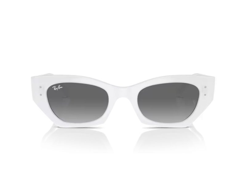 Ray-Ban Zena Solbriller RB 4430 675911