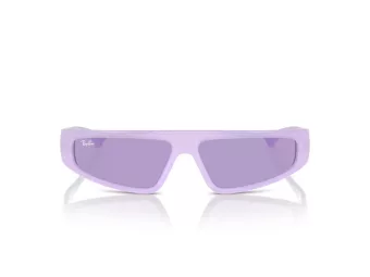 Ray-Ban Izaz Solbriller RB 4432 67581A