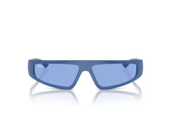 Ray-Ban Izaz Solbriller RB 4432 676180