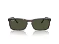 Ray-Ban Solbriller RB 4435 902/31