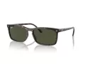 Ray-Ban Solbriller RB 4435 902/31